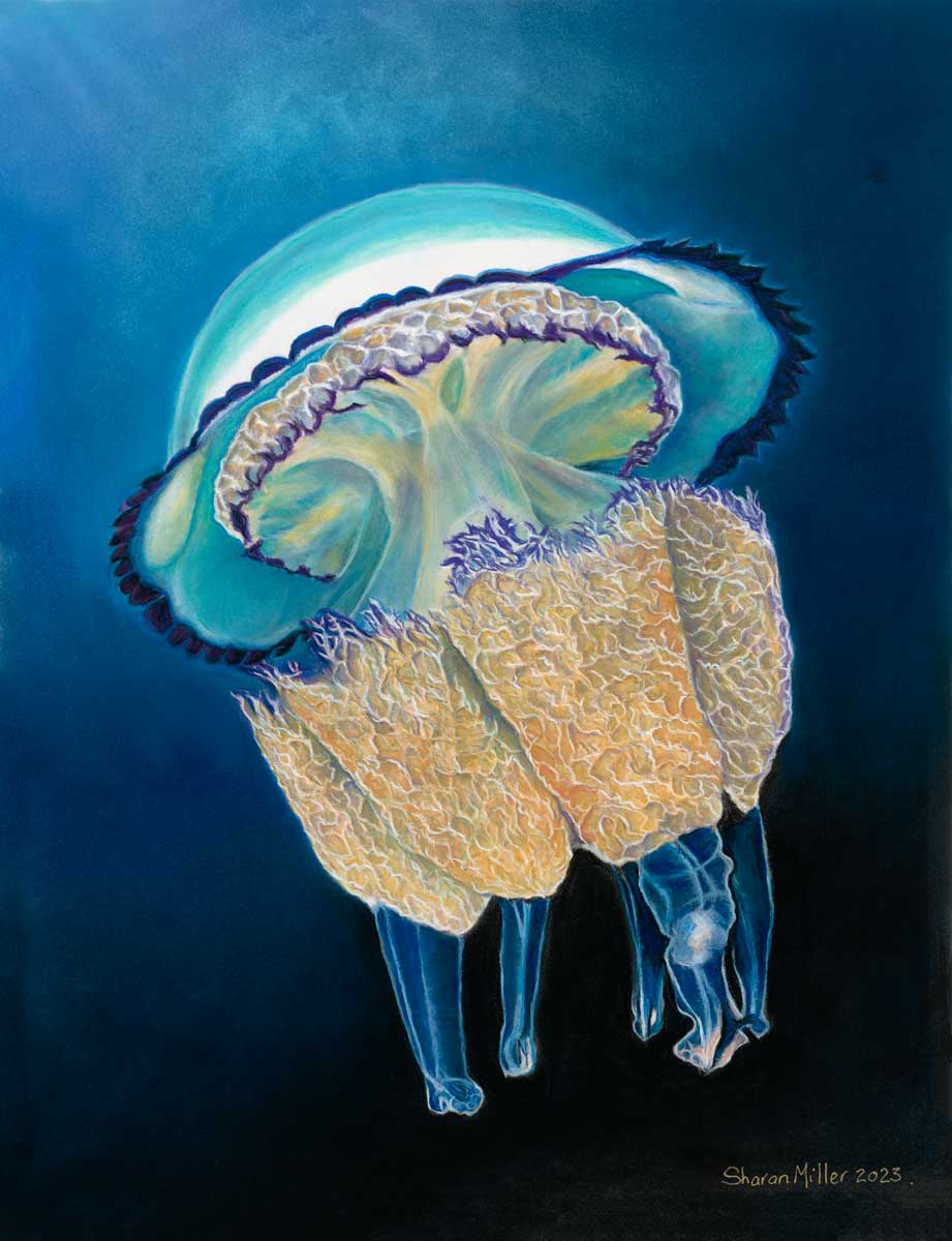 JELLYFISH